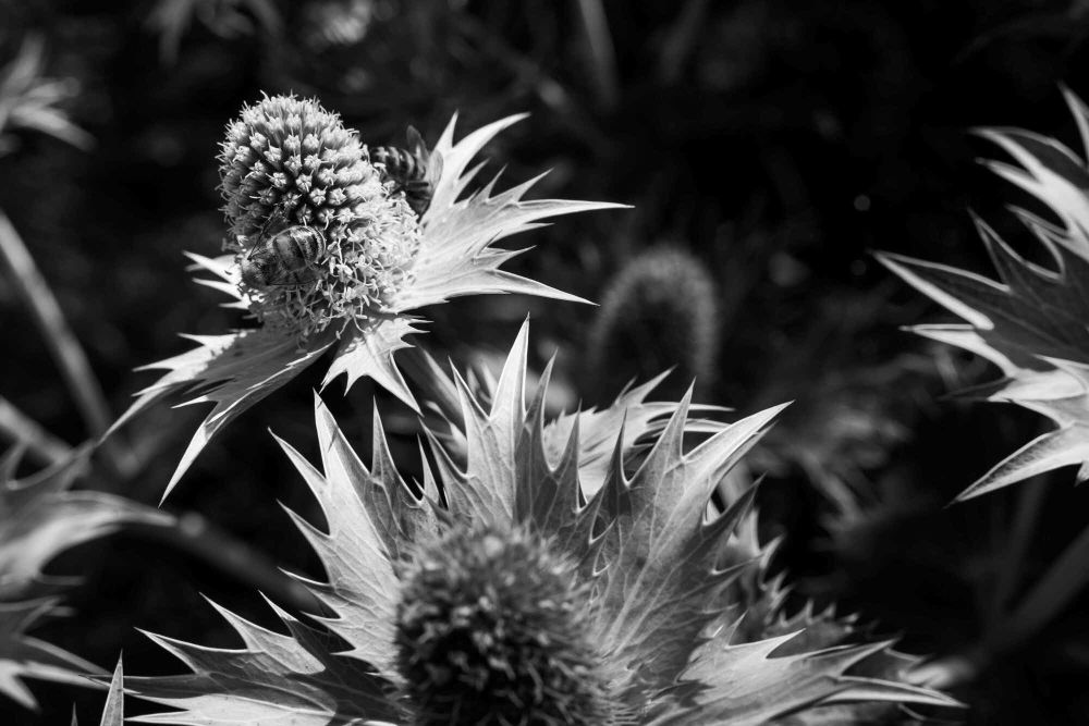 04 Rang 135 Stettler Urs